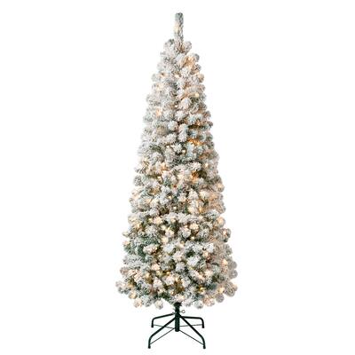 First Traditions™ 6 ft. Acacia Medium Flocked Tree with Clear Lights - 6 ft