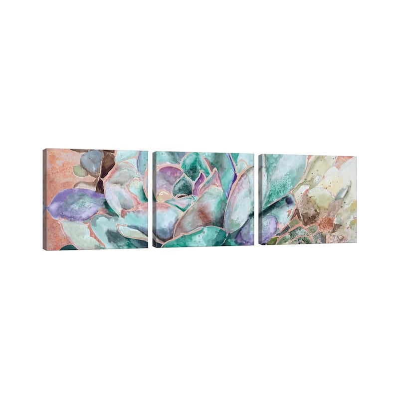 iCanvas "Desert Flower On Terra Cotta" by Patricia Pinto 3-Piece Canvas Wall Art Set