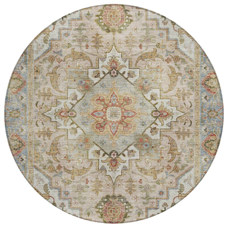 Machine Washable Indoor/Outdoor Traditional Vintage Chantille Rug