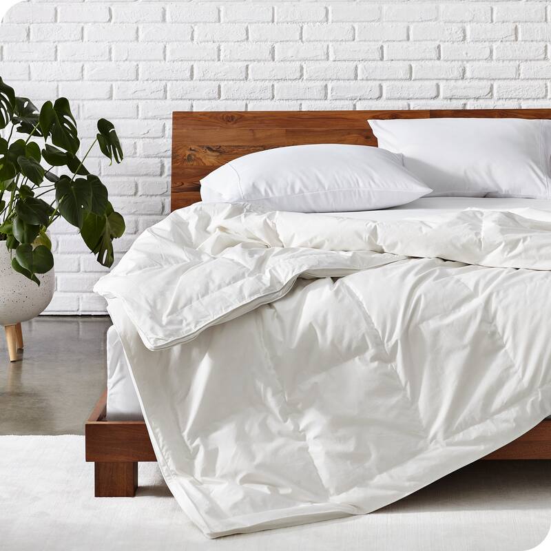Bare Home All Season Ultra-Soft Duck Down Comforter - Full - Queen