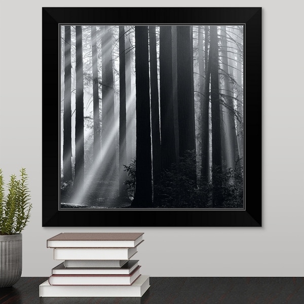 "Sunlight in forest" Black Framed Print
