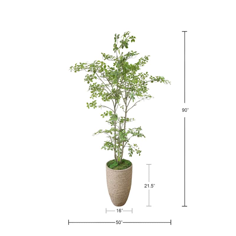 Bonsai Tree In Strawgrass Planter - 90