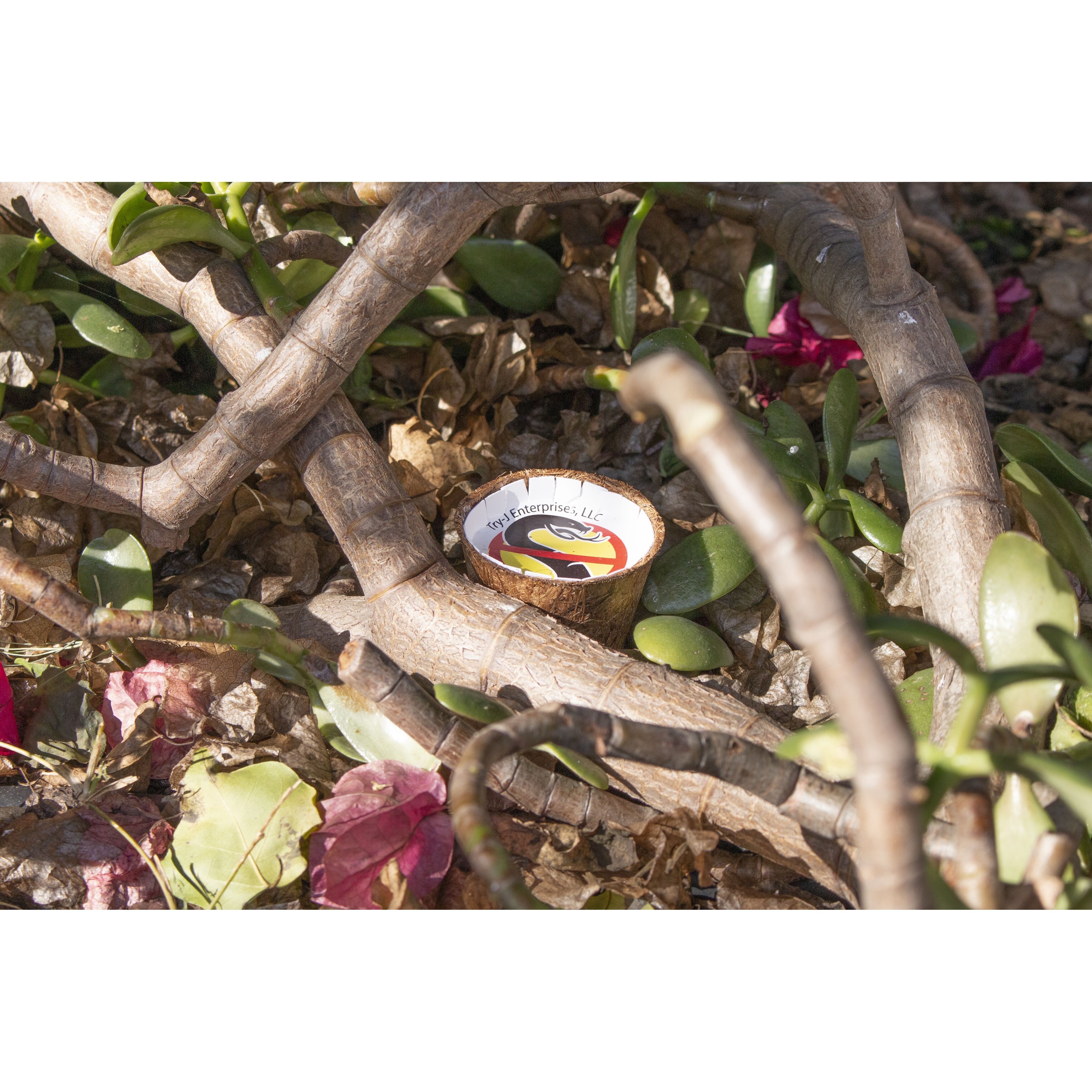 Revoke Snake Repellent 3 Per Pack Overstock 31444544