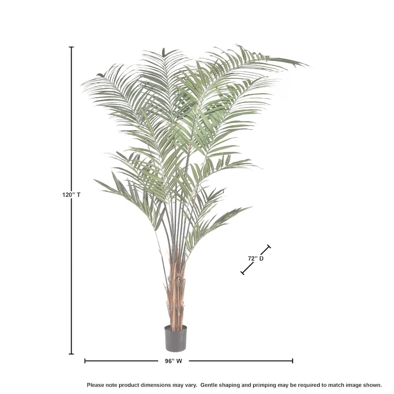 Potted Uv Treated Kentia Palm 10' - 10"