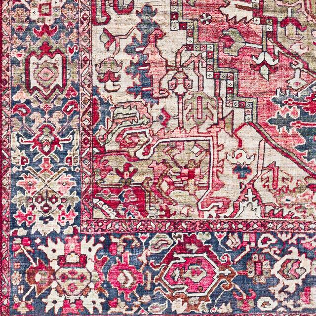 Adenia Vintage Medallion Printed Area Rug