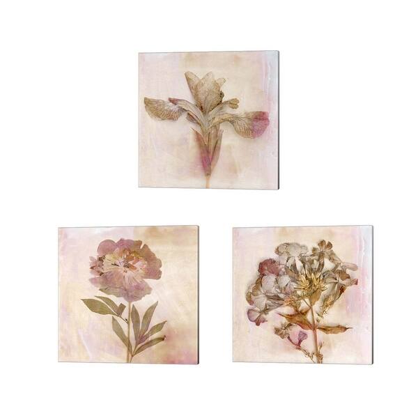 Shop Judy Stalus Remembered Flowers Canvas Art Set Of 3 Overstock 31770235
