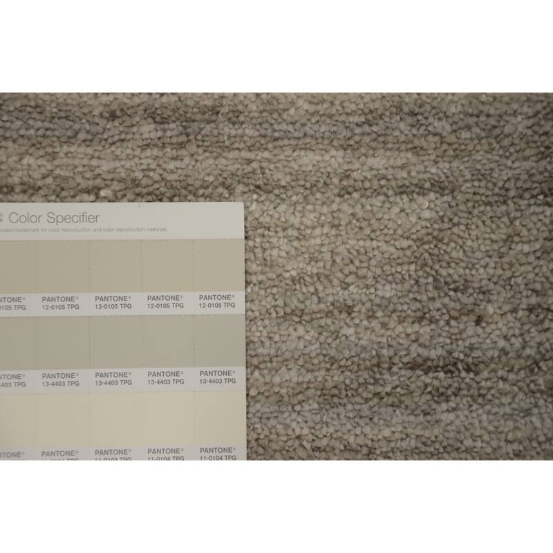 Hand Knotted Oriental Viscose Silk Carpet Tribal Animal Pictorial Beige & Ivories Gabbeh Area Rug - 11' 9'' X 8' 11''