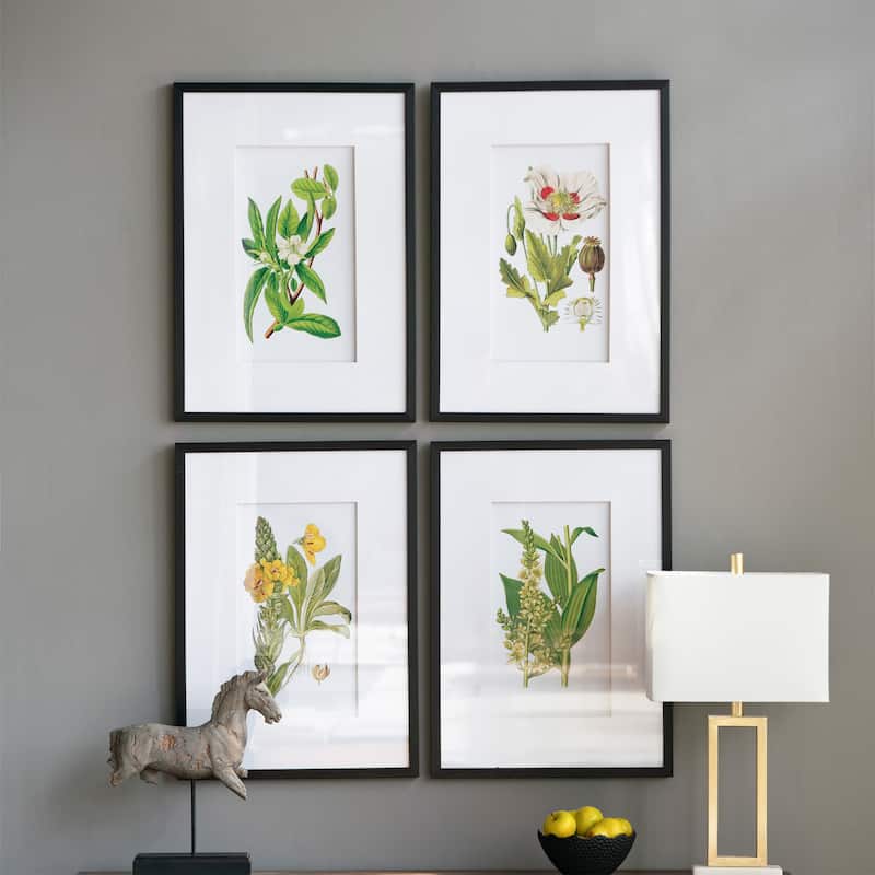 Set of 4 Botanical Flower Wall Art - Black