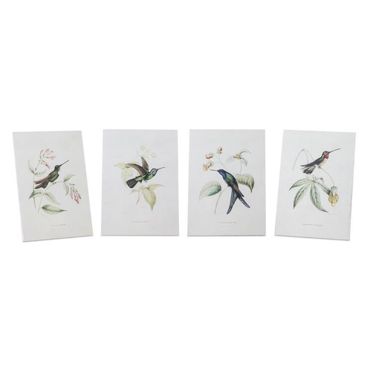 Hummingbird Print (Set of 4) - Multi-Color