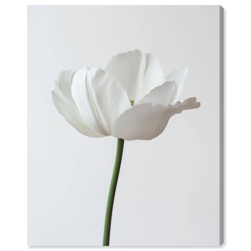 Pearl Floret Canvas by Art Remedy, Gallery Wrapped - 24" x 30"