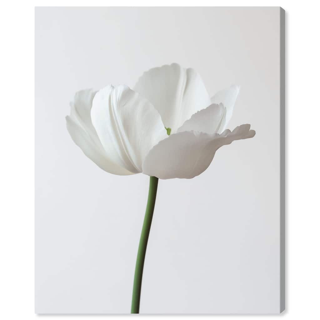 Pearl Floret Canvas by Art Remedy, Gallery Wrapped
