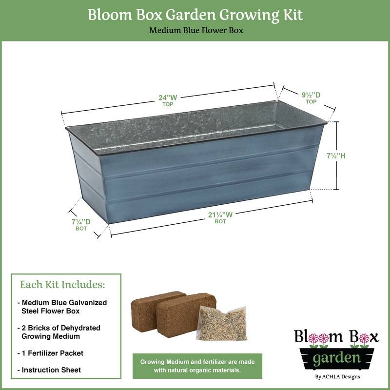 Achla Designs 24" W Medium Galvanized Steel Indoor Outdoor Bloom Box Garden Growing Kit, Garden Accent