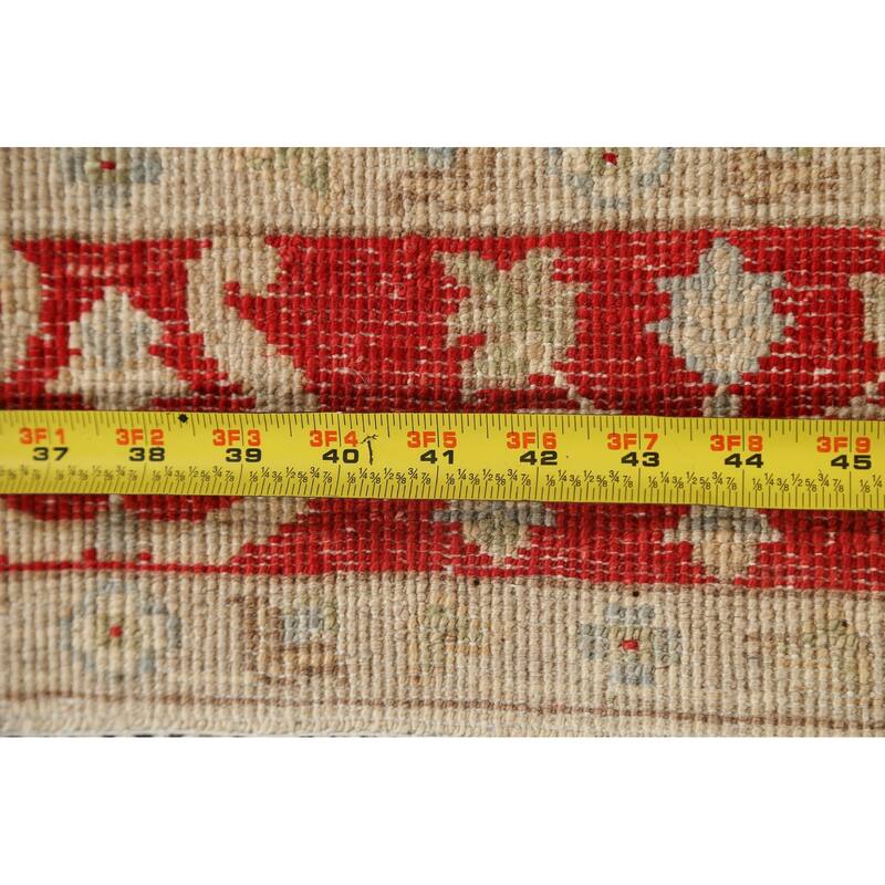 Vegetable Dye Peshawar Chobi Wool Runner Rug Handmade Oriental Carpet - 2'9" x 9'8"