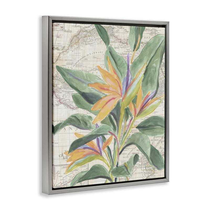 Stupell Tropical Flower over Map Framed Floater Canvas Wall Art Design By June Erica Vess