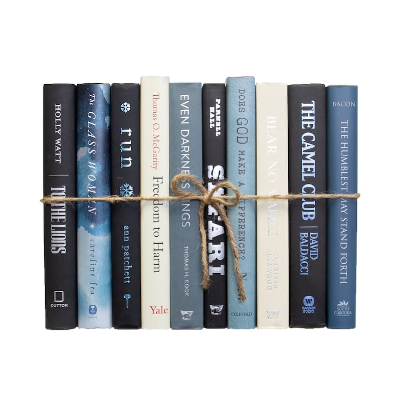 Books Blue Decorative Accessories: Overcast Mixed Media ColorPak