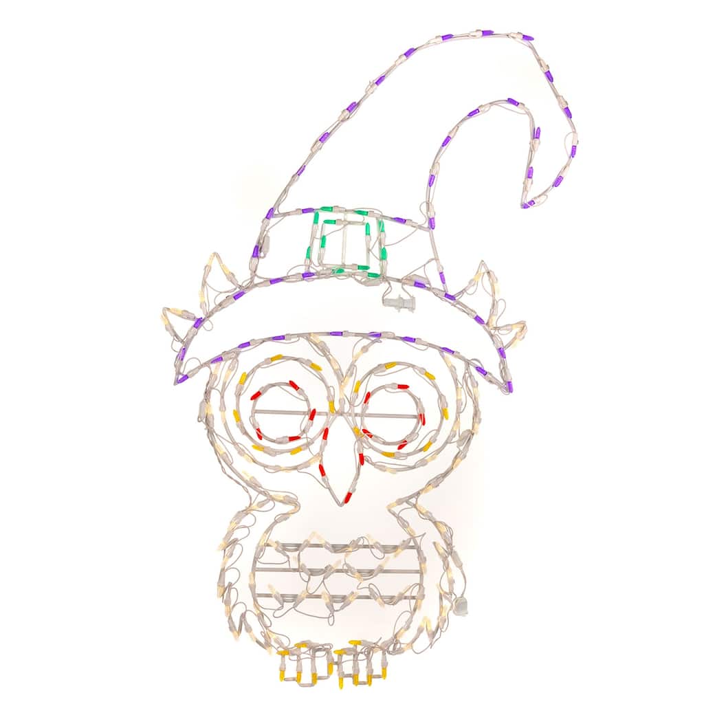 Halloween LED Witch Owl 45 inches