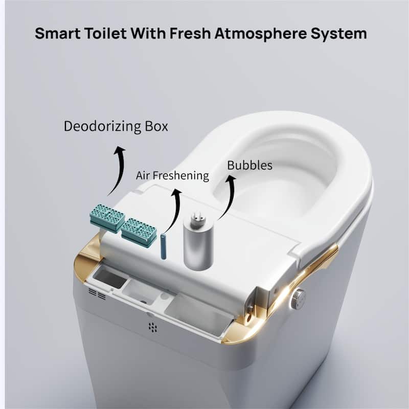 Smart Toilet with Bidet & Auto Flush