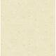 Option Metallic Champagne