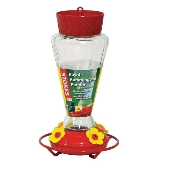 Shop Stokes Select 38135 Royal Hummingbird Feeder 31 Oz Red Free