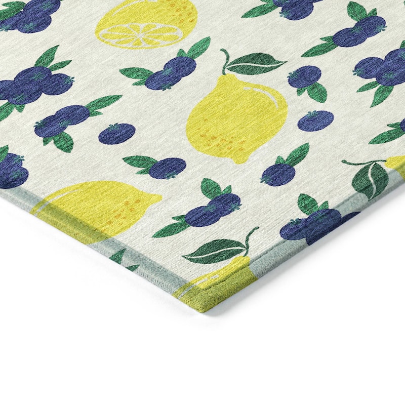 Machine Washable Indoor/ Outdoor Citrus Berry Chantille Rug