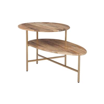 Ava 38 Inch Two Tiered Round Wood Coffee Table, Iron Frame, Brown and Gold