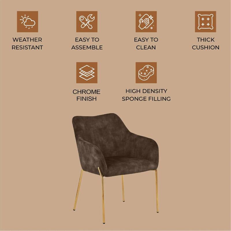 Zaire Upholstered Dining Chair in Velvet/Leather/Boucle with Gold Chrome Iron Set of 2