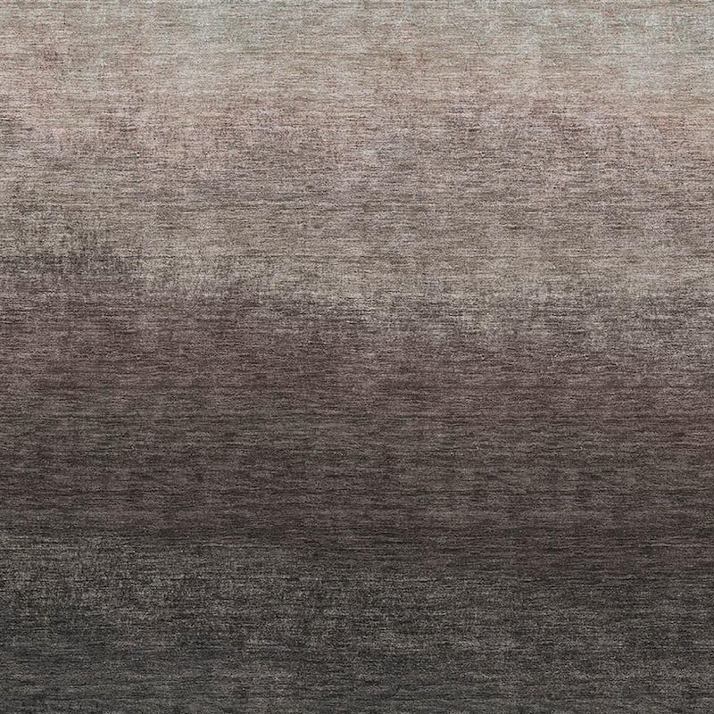 HomeRoots Ombre Transitional Rectangle Outdoor Rug