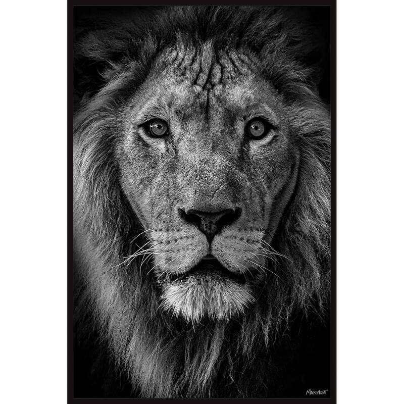 Enjoy the Silence Floater Framed Print on Canvas