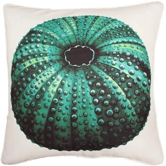 Jekyll Island Sea Urchin Throw Pillow
