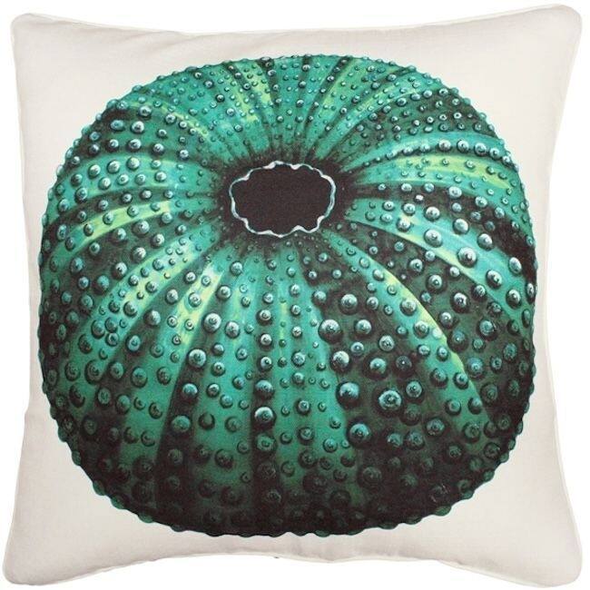 Jekyll Island Sea Urchin Throw Pillow