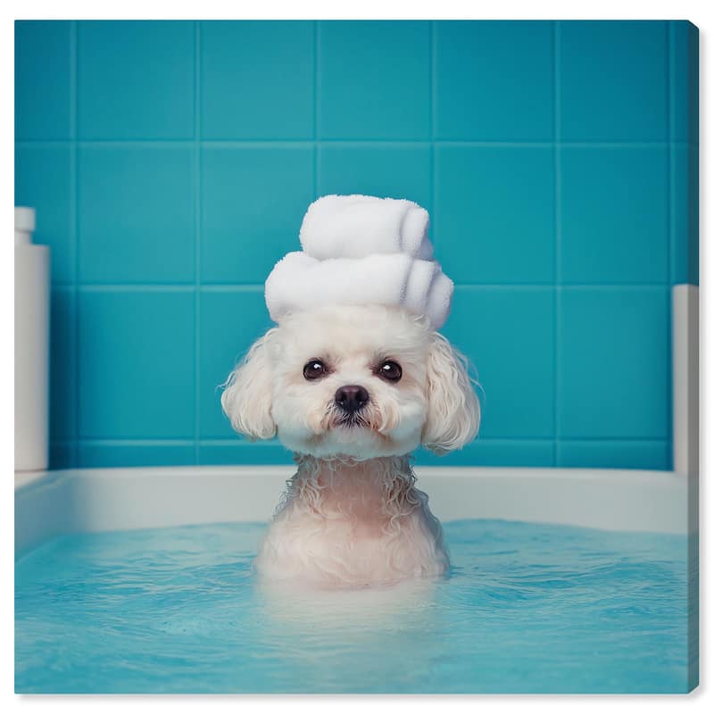 Fluff in the Tub Canvas by Art Remedy, Gallery Wrapped - 40" x 40"