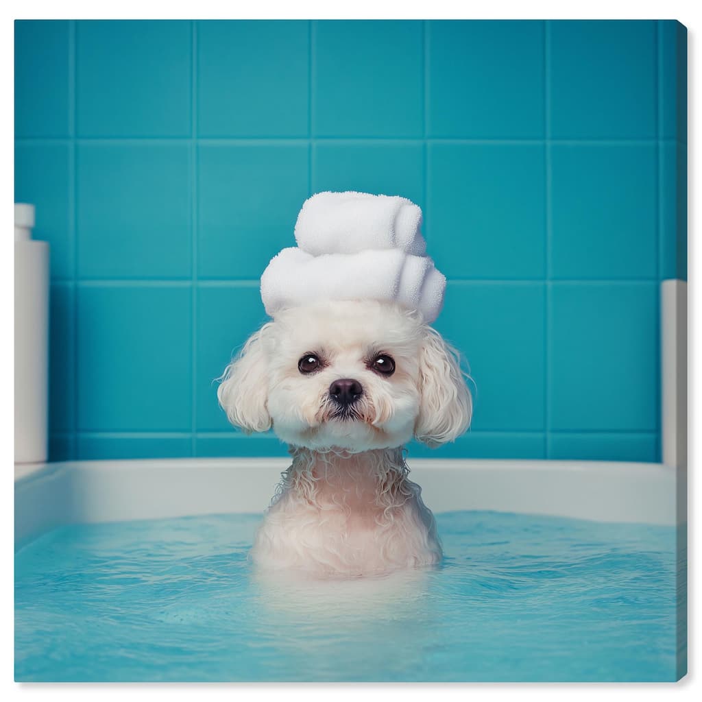 Fluff in the Tub Canvas by Art Remedy, Gallery Wrapped
