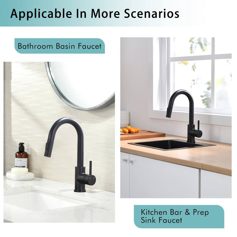 Single Handle Pull-Out Double-Function Kitchen Faucet