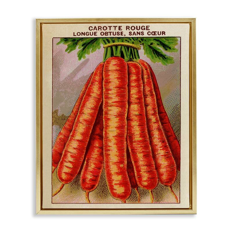Stupell Country Vintage Carrots Framed Floater Canvas Wall Art Design By Lil' Rue - 17 x 21 - Gold