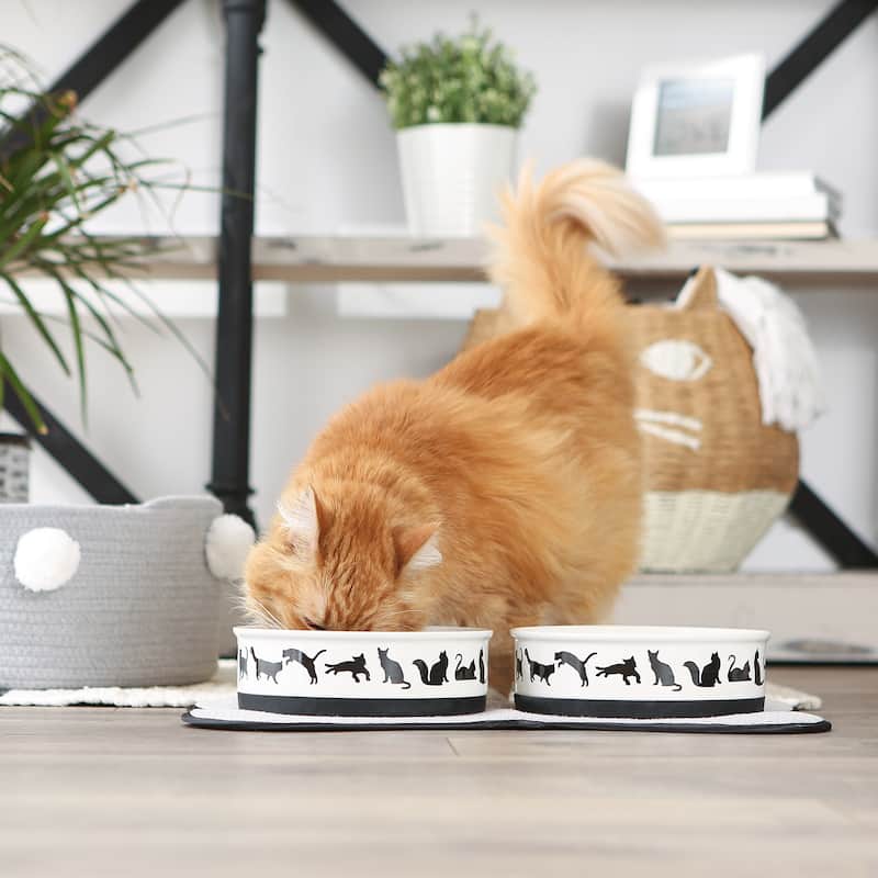 Bone Dry Pet Bowl Cats Meow (Set of 2)