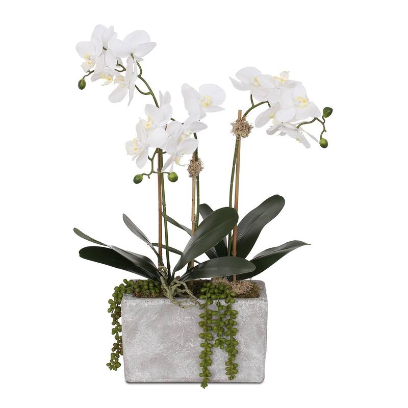 Real Touch White Phalaenopsis Orchids, Leaves, String of Pearls in Pot - 16W x 9D x 23H