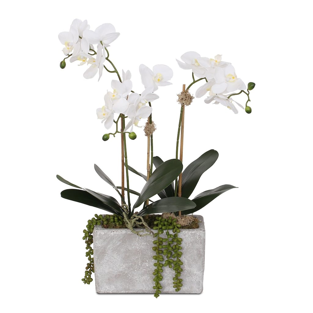 Real Touch White Phalaenopsis Orchids, Leaves, String of Pearls in Pot - 16W x 9D x 23H