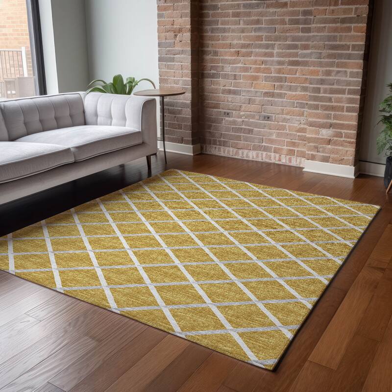 Premium Washable Super Soft Modern Trellis Mayfield Rug