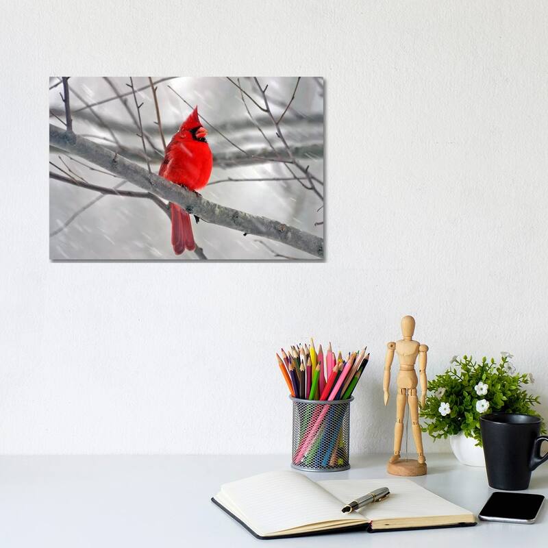 iCanvas "Cardinal Bird" by Unknown Artist Canvas Print - 8x12x0.75