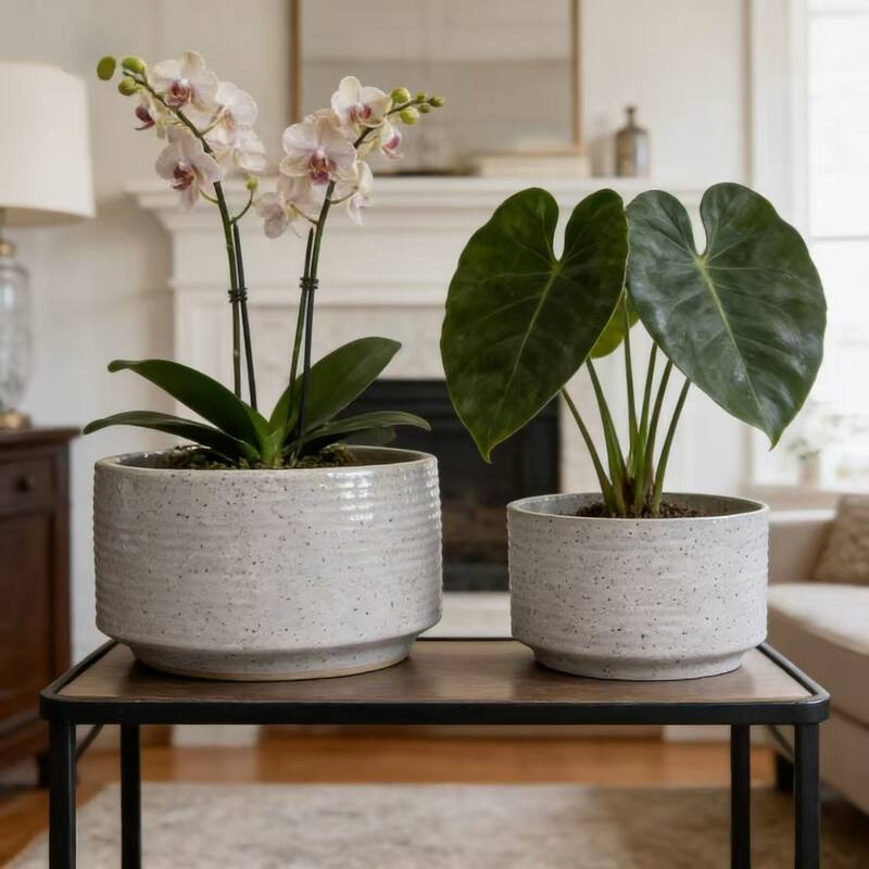 Set of 2 Vertical Ridges Ceramic Aquatic Planters Pot for Hydroponics