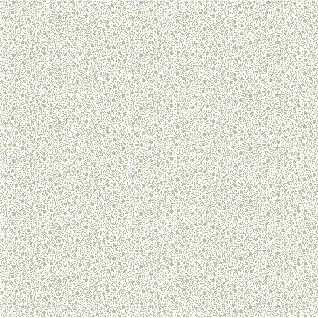 Galerie Wallcoverings Little Explorers 2 Tiny Botanical Flowers Non-woven Matte Wallpaper Roll