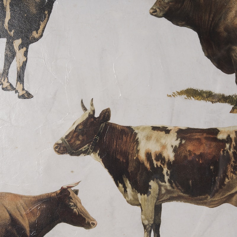 Antique Cow Chart Framed Art Print