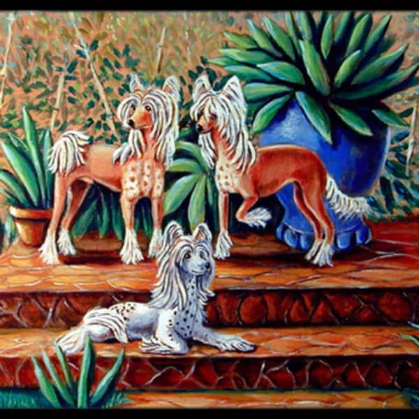 Carolines Treasures 7505mat 18 X 27 In Chinese Crested Indoor Outdoor Mat On Sale Overstock 27706890