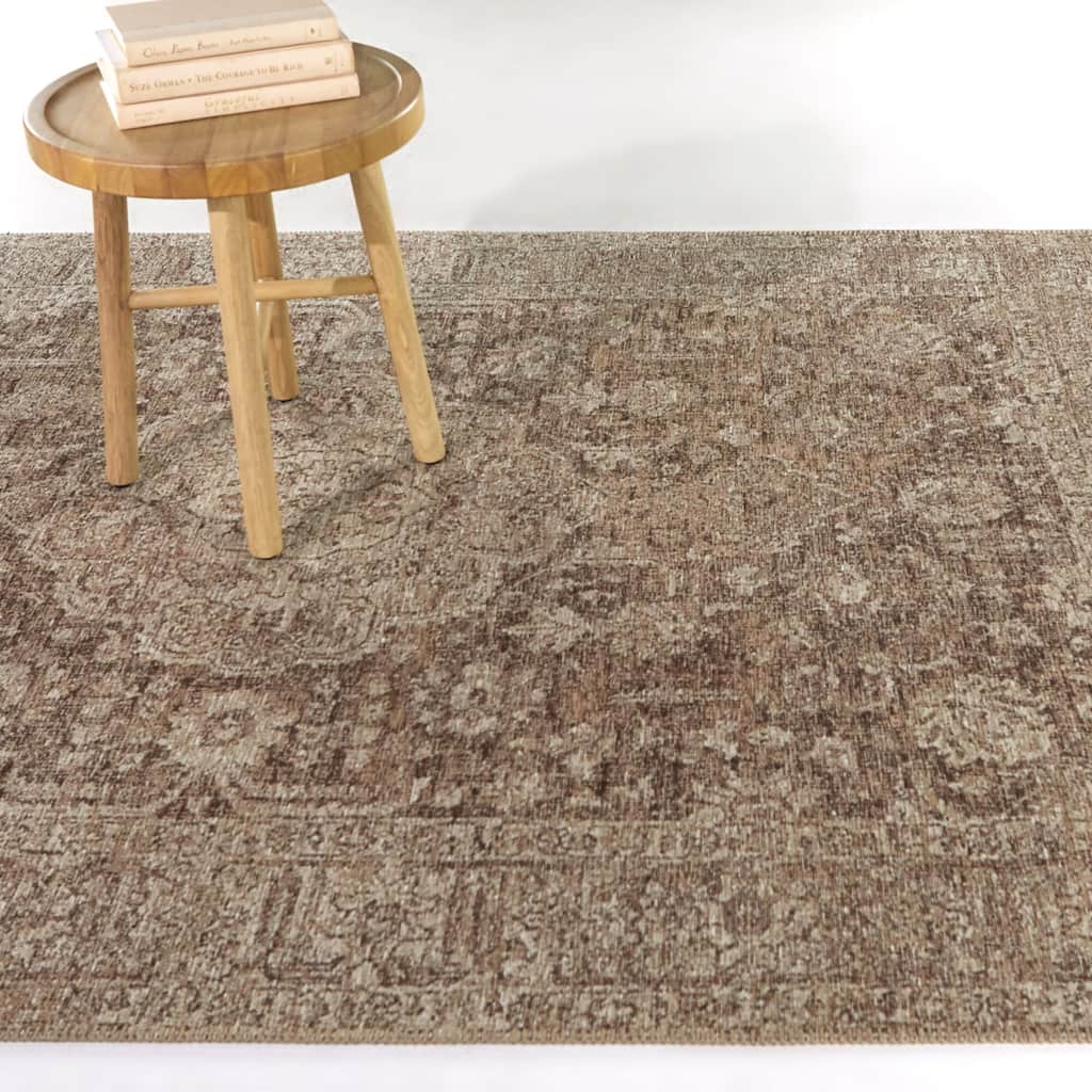 Crozier Oriental Medallion Indoor/Outdoor Area Rug