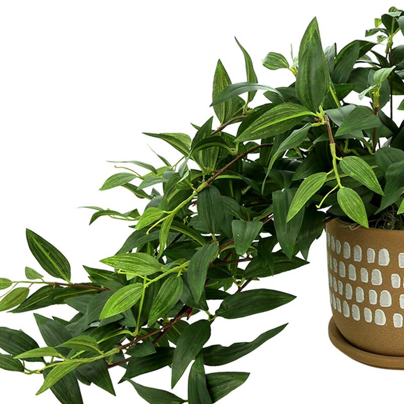 Ivy Arrangement in a Spotted Ceramic Pot - Green