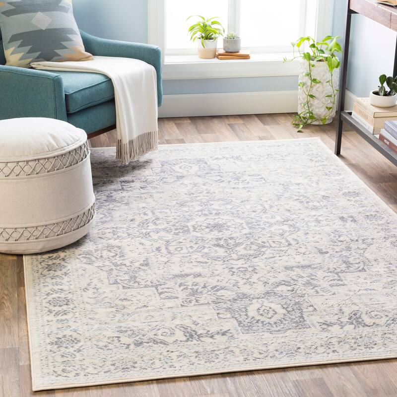 Artistic Weavers Tyrus Traditional Medallion Area Rug - 2' x 3' - Grey