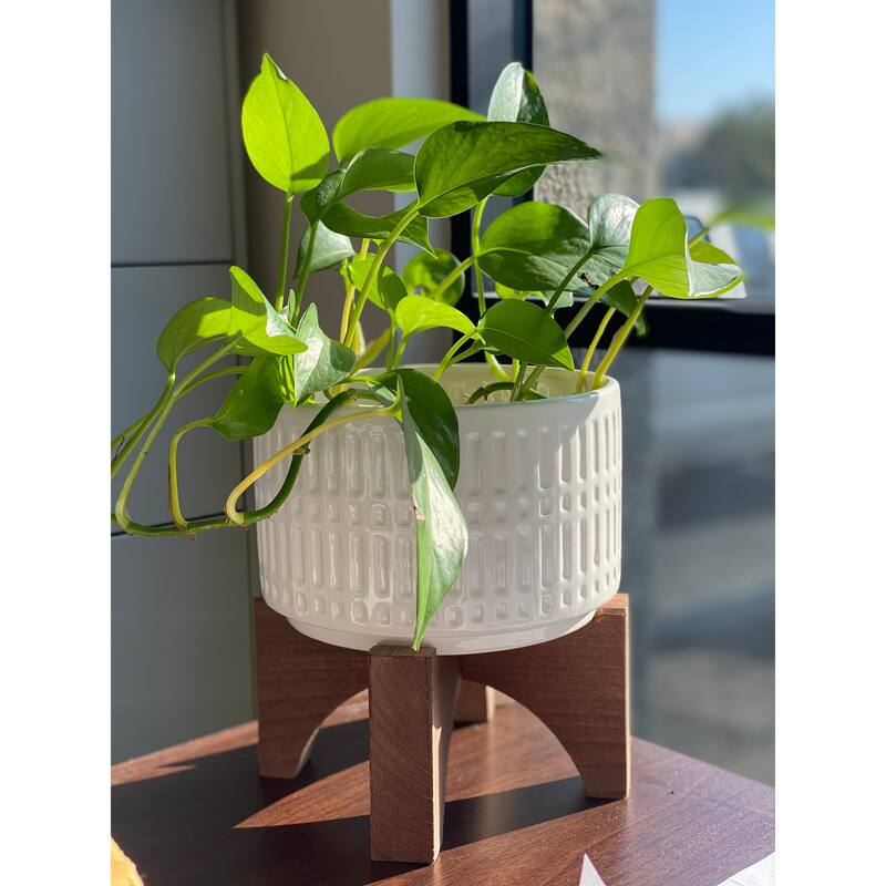 Mid-Century 7" Roman Ceramic Pot on Wood Stand