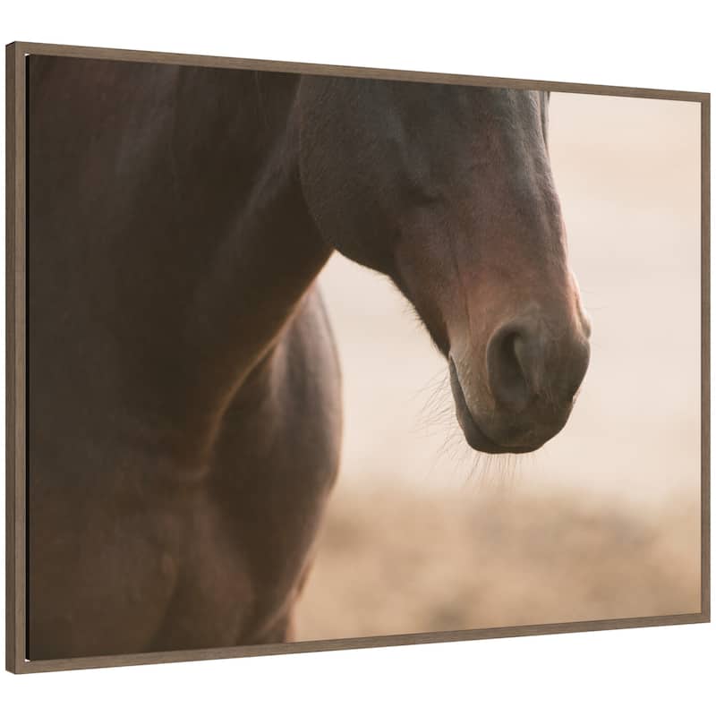 Kate and Laurel Dusty by Crystal Lynn Collins Framed Canvas Wall Art Print - 38 x 28 - Walnut