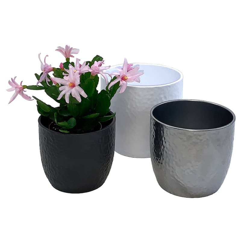 3 Piece Set of Indoor Ceramic Plant Pots, Boston 6.3" White, 5.5" Silver, 5.1" Anthracite - 6.3"D, 5.5"D, 5.1"D
