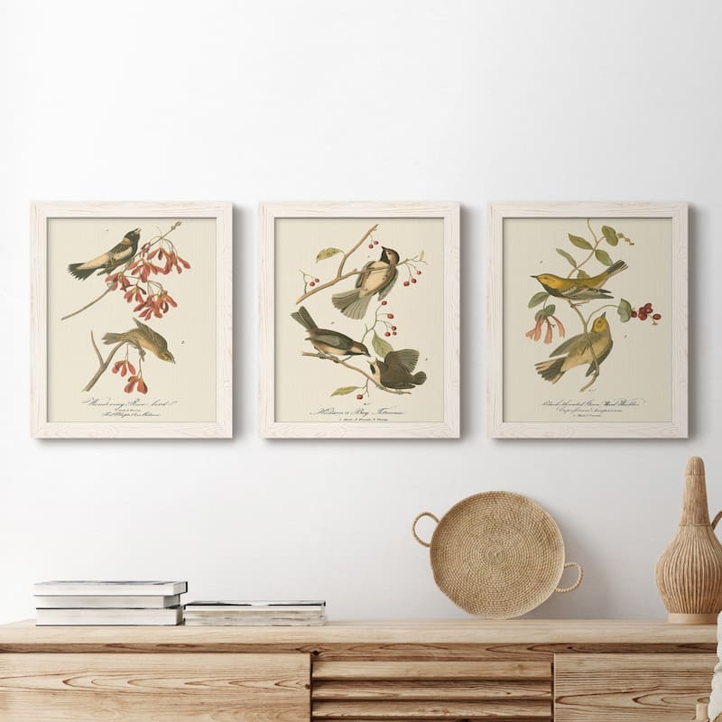 Wandering Rice Bird-Premium Framed Canvas - Ready to Hang - Multi-Color